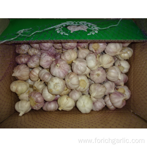 Fresh Normal White Garlic High Quality